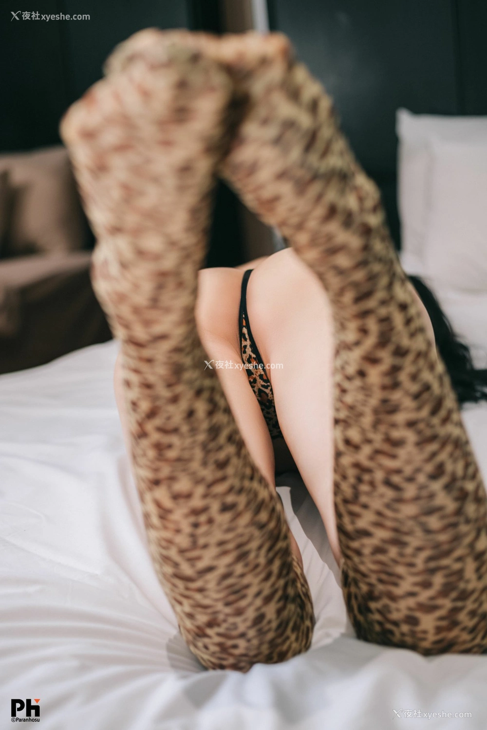 1P - [Paranhosu] Sia – Leopard