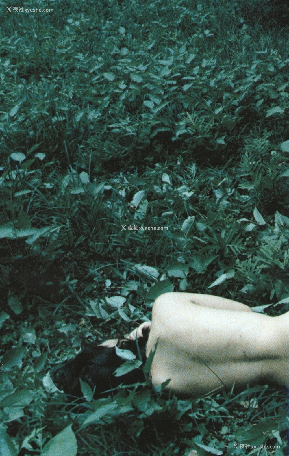 1P - 永井流奈《Accidents Series 5》