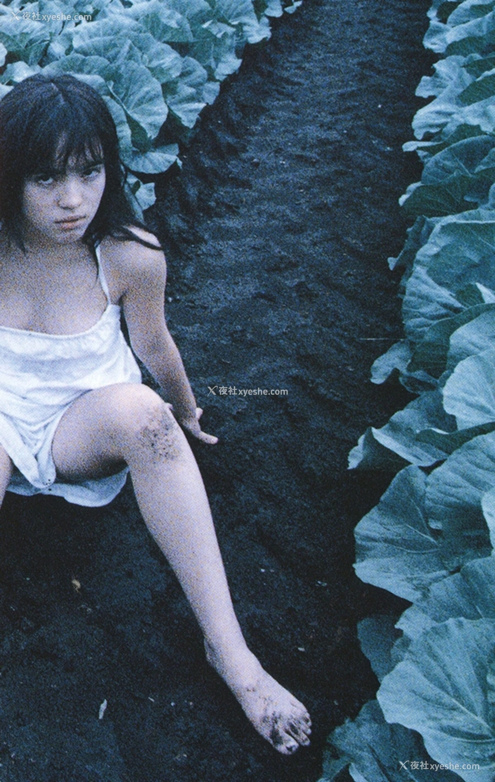1P - 永井流奈《Accidents Series 5》
