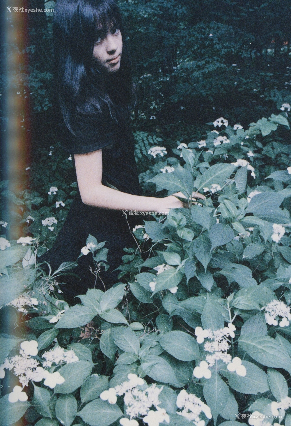 1P - 永井流奈《Accidents Series 5》