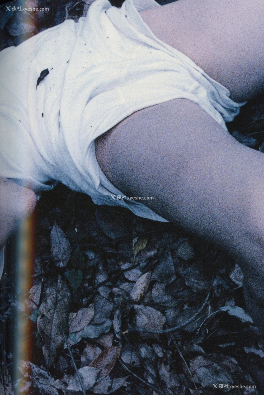 1P - 永井流奈《Accidents Series 5》