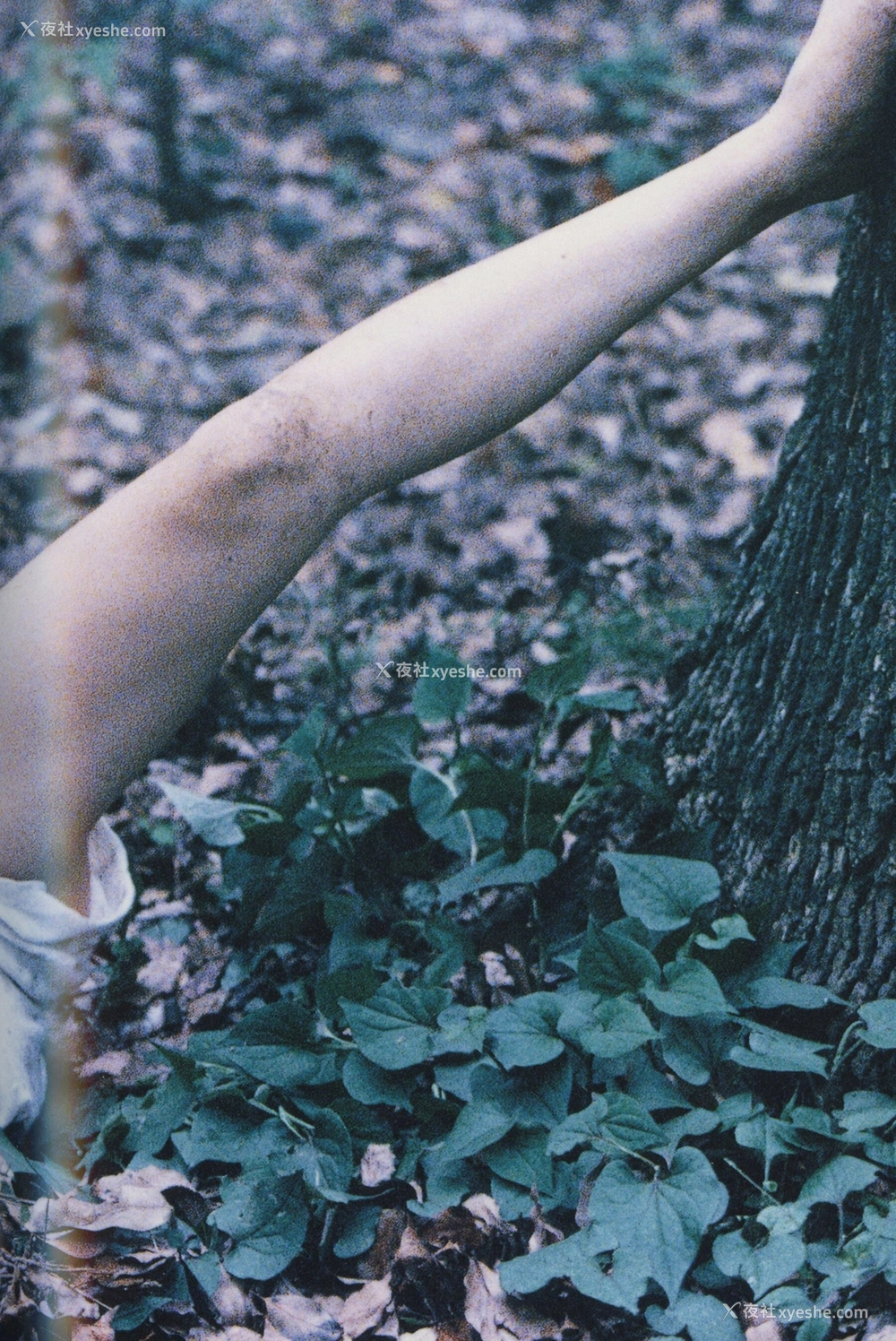 1P - 永井流奈《Accidents Series 5》
