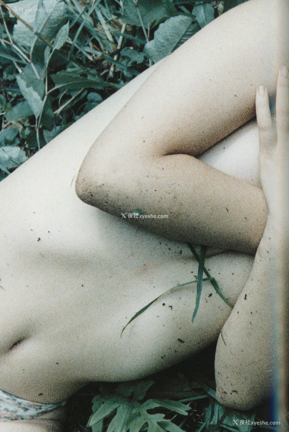 1P - 永井流奈《Accidents Series 5》