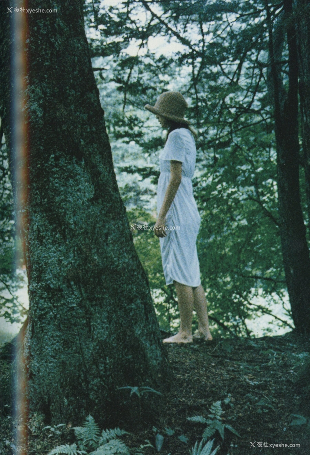 1P - 永井流奈《Accidents Series 5》