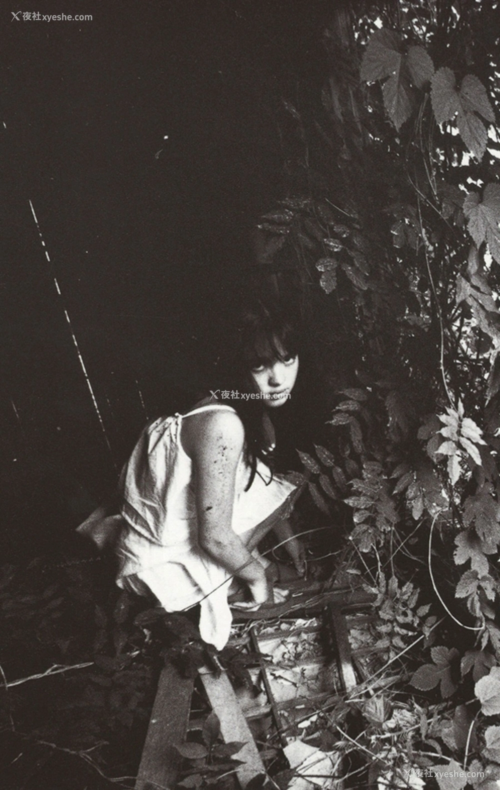1P - 永井流奈《Accidents Series 5》