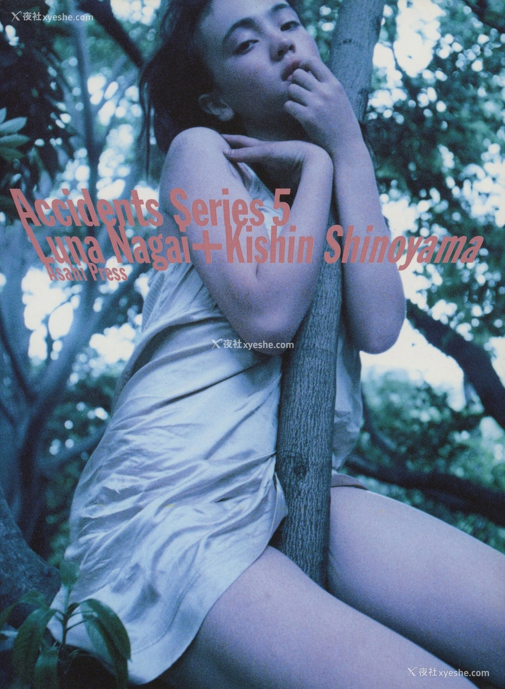 1P - 永井流奈《Accidents Series 5》