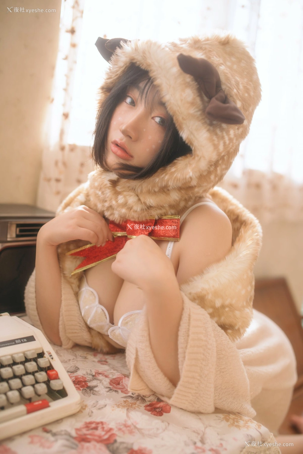 1P - 野百合 – 圣诞