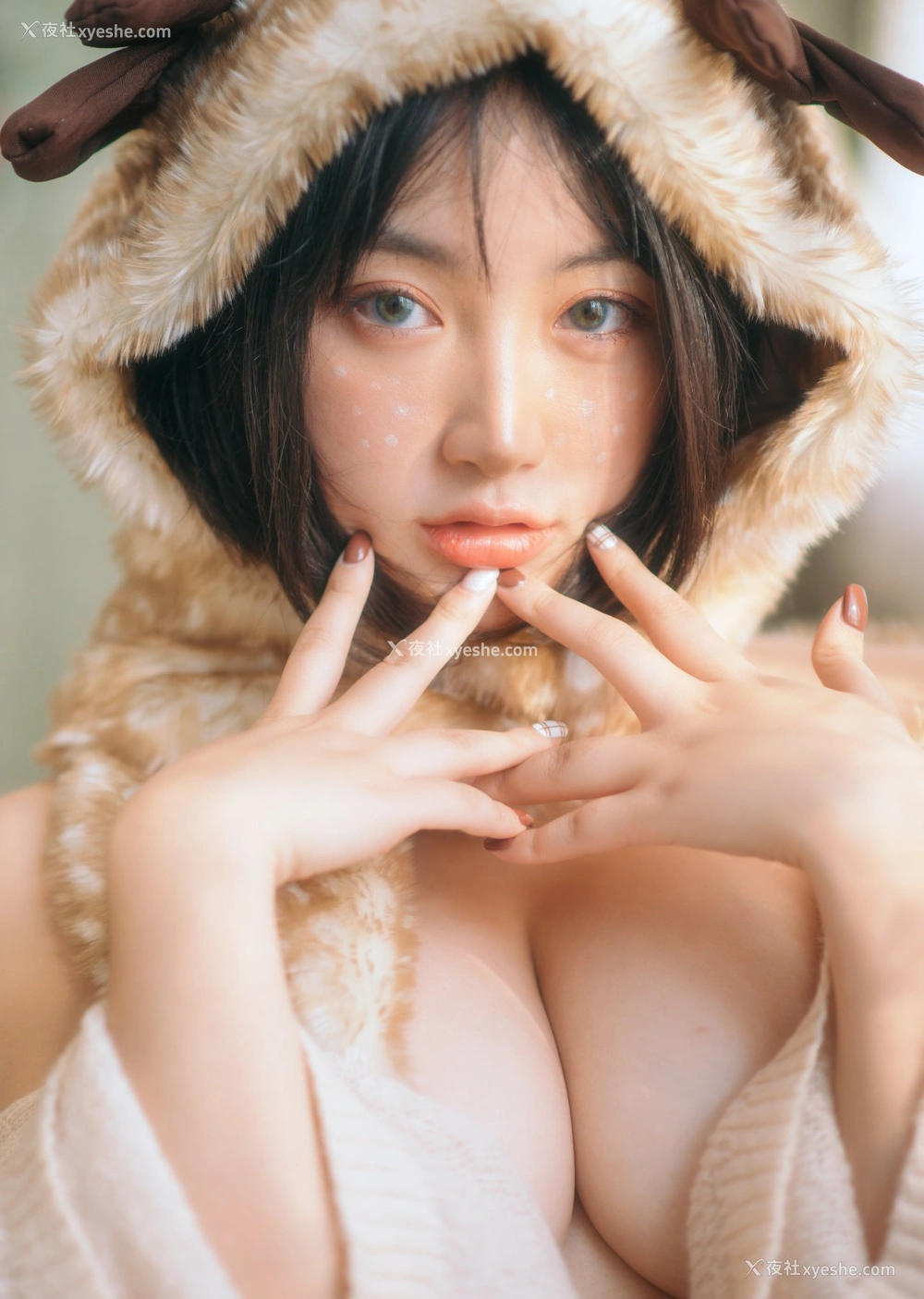 1P - 野百合 – 圣诞