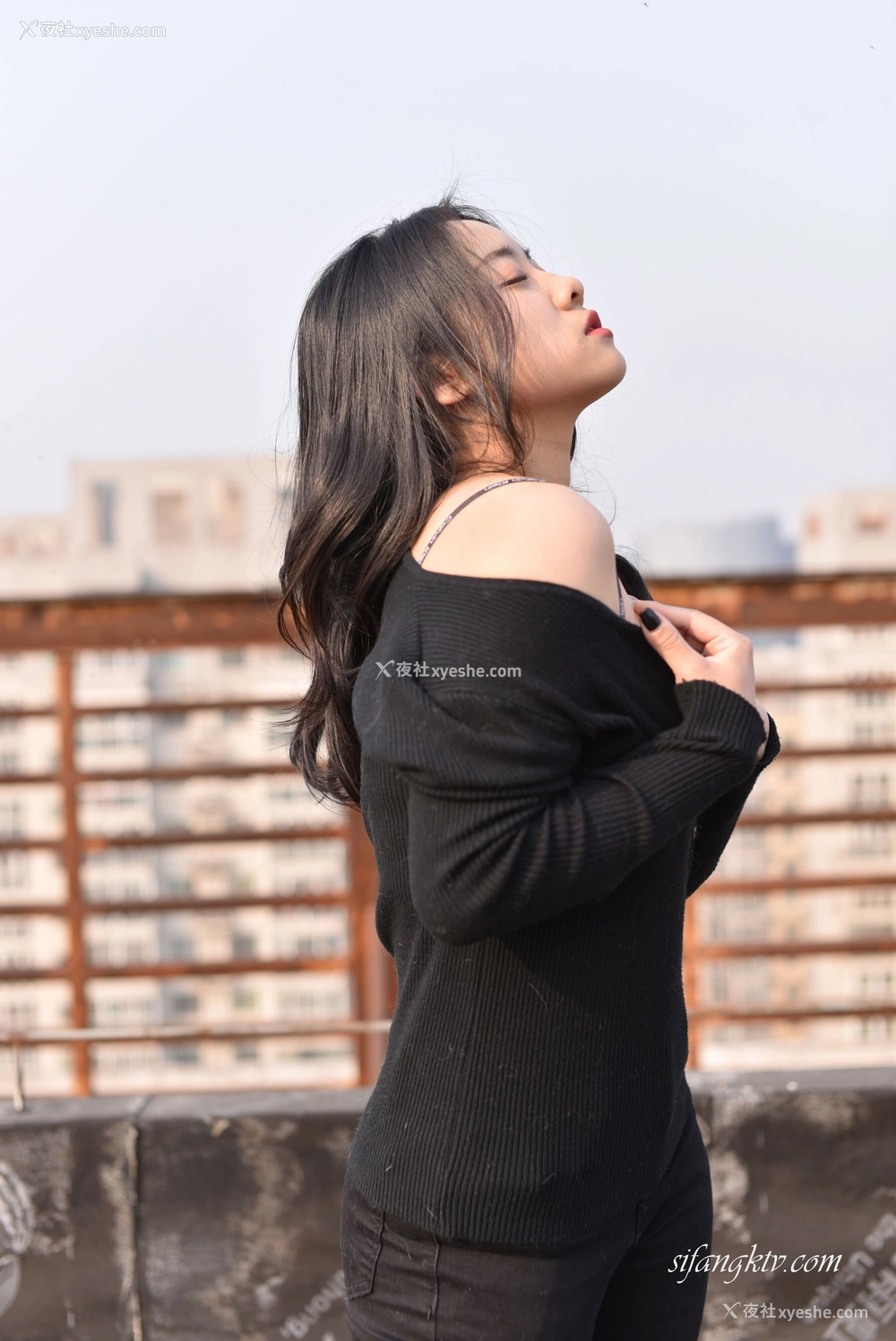 1P - 摄影师阿立《沉沦的猫》
