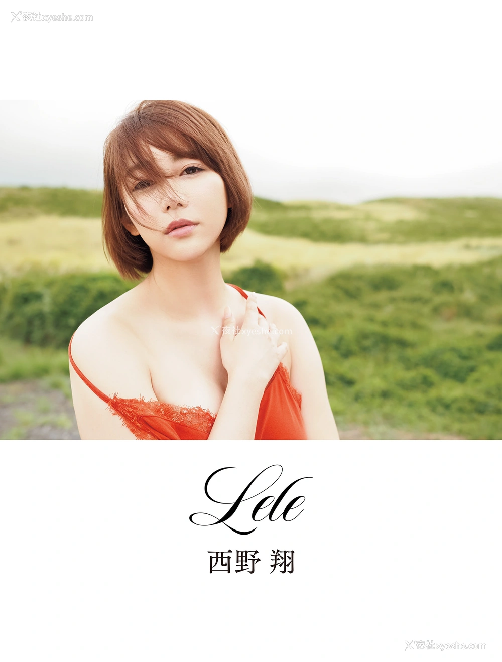 1P - 西野翔 《Lele》