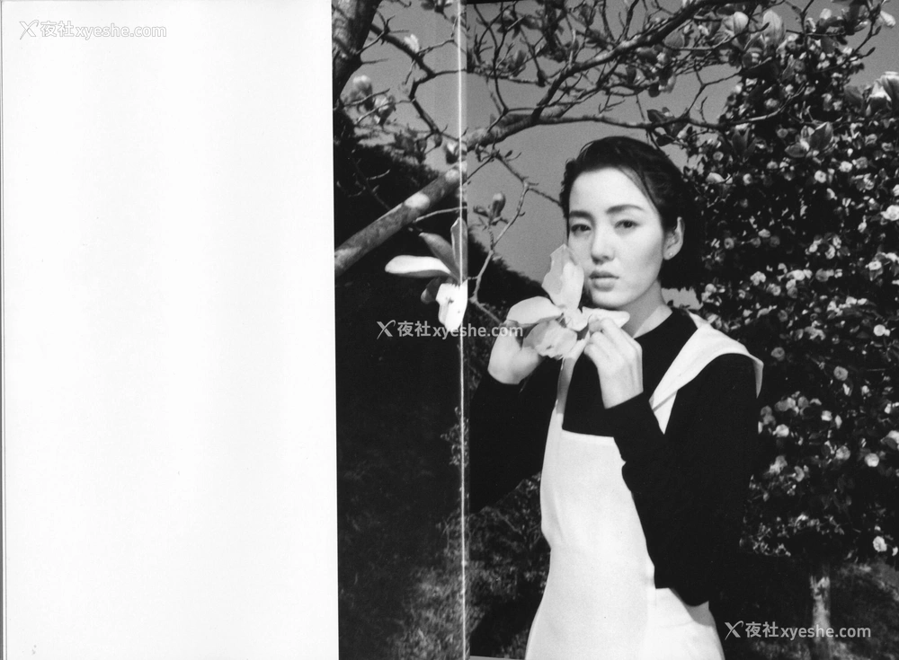 1P - 樋口可南子《Accidents Series 1》
