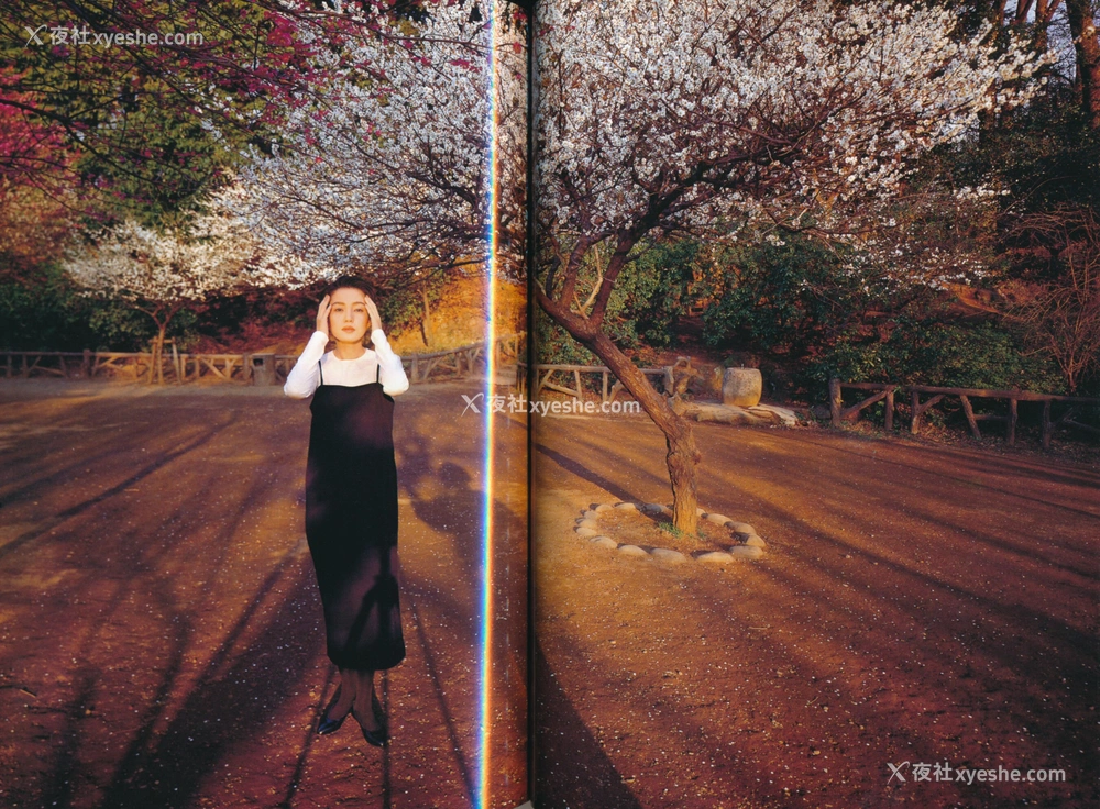 1P - 樋口可南子《Accidents Series 1》
