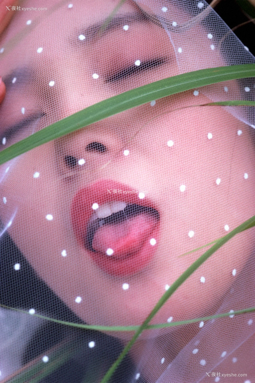 1P - 樋口可南子《赘沢な时间》