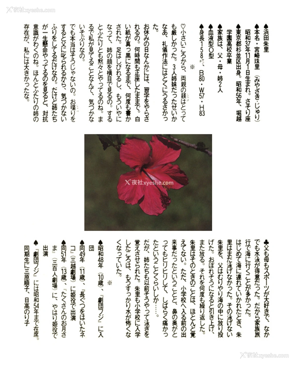 1P - 浜田朱里《わらって》