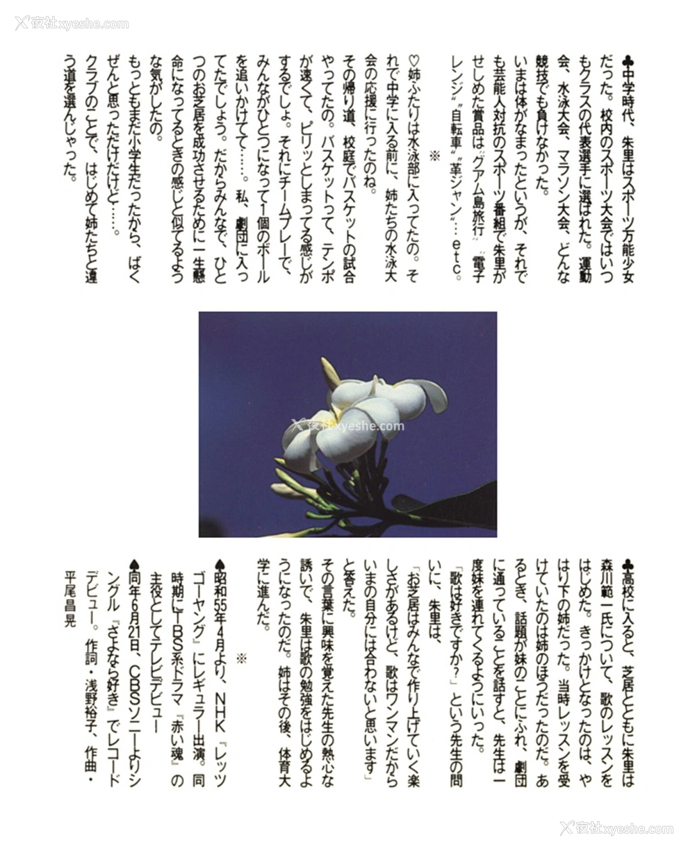 1P - 浜田朱里《わらって》