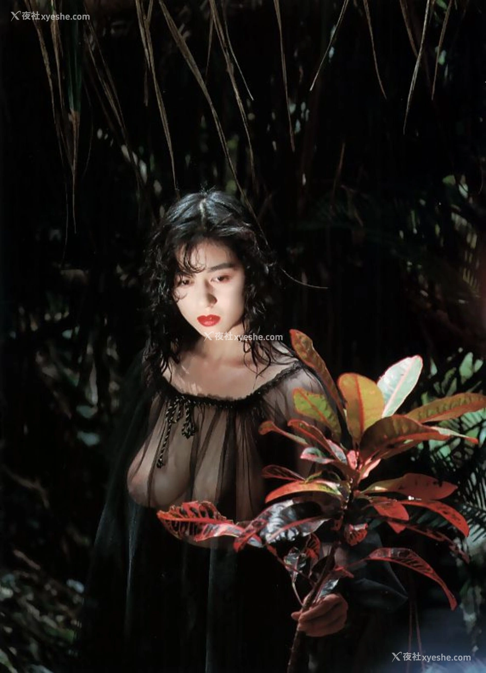 1P - 青山知可子《热帯性気候》