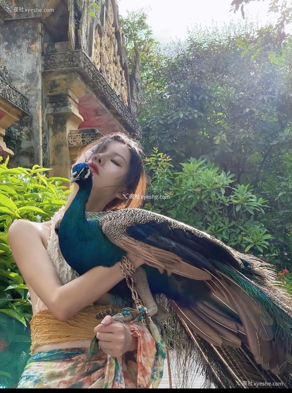 1P - 就是阿朱啊《人与自然》