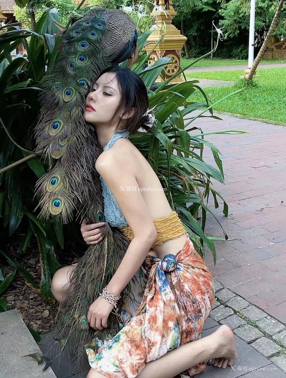 1P - 就是阿朱啊《人与自然》
