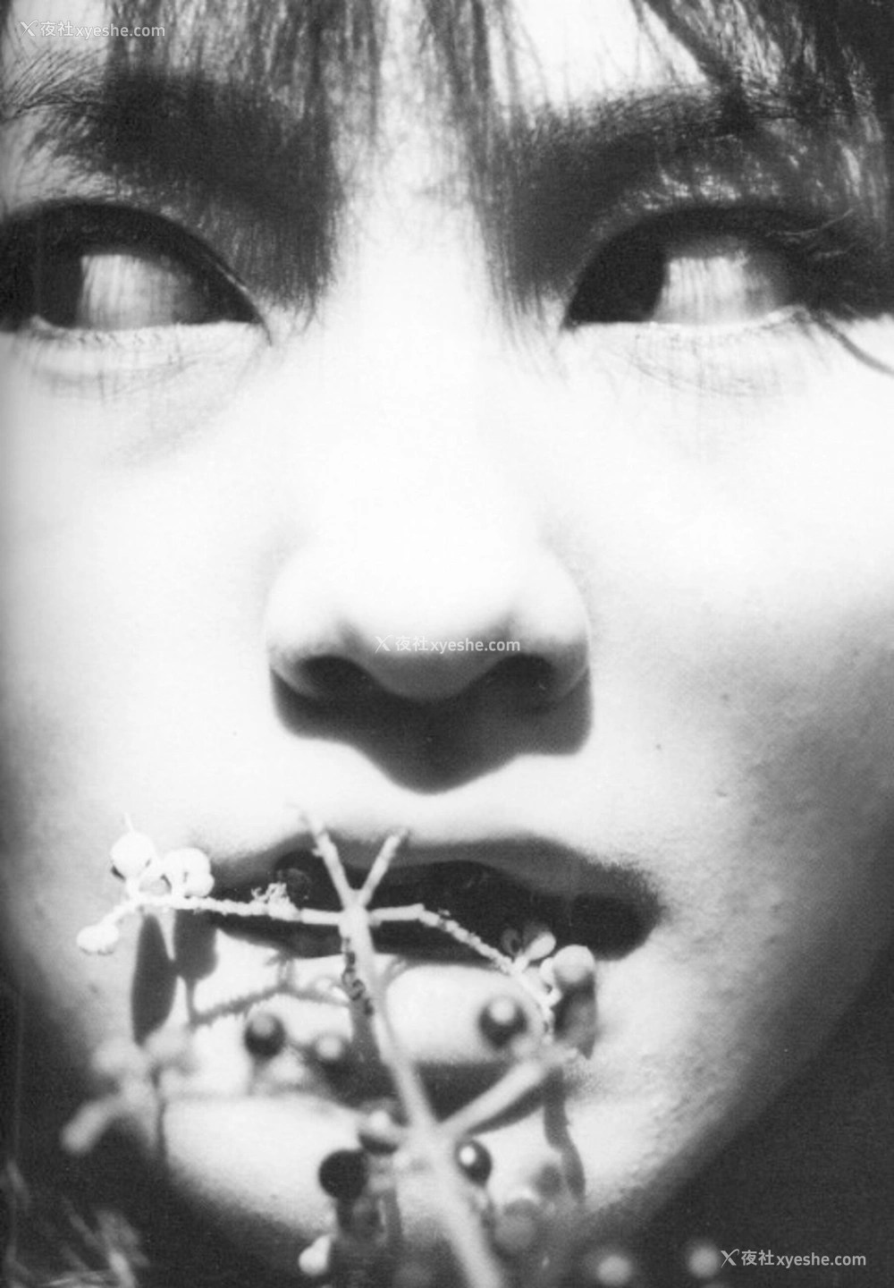 1P - 宝生舞《Accidents Series 13》