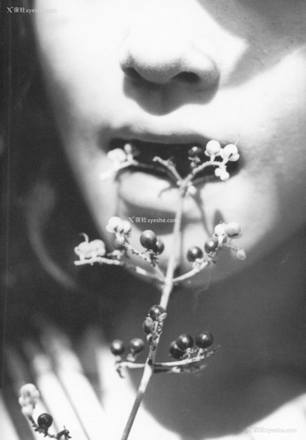 1P - 宝生舞《Accidents Series 13》