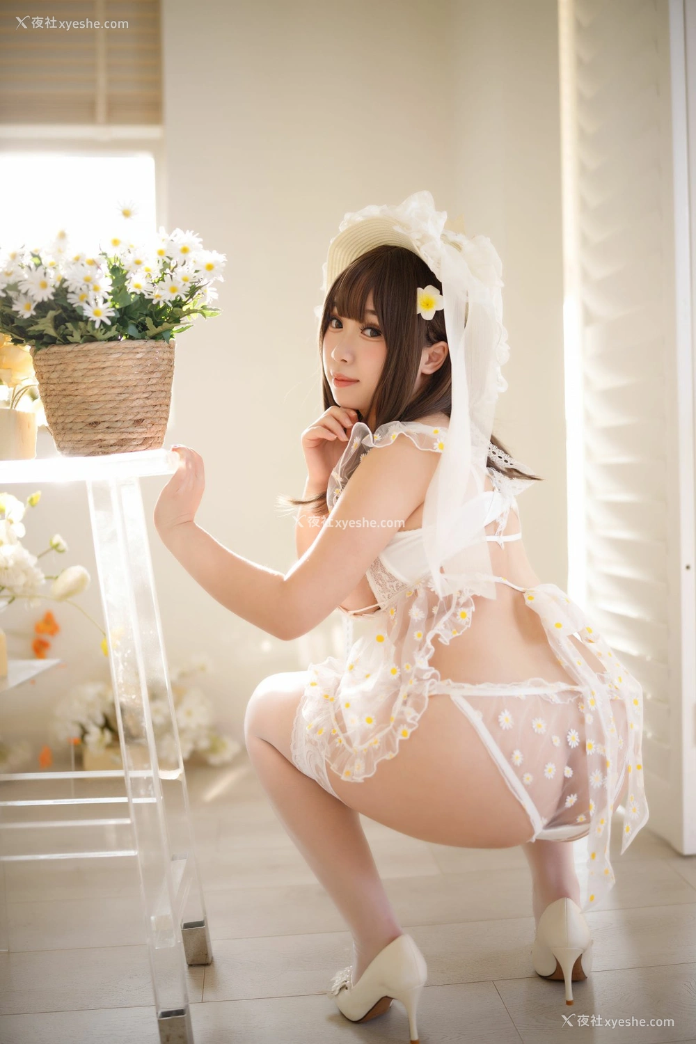 1P - 胡桃猫Kurumineko – 追光雏菊