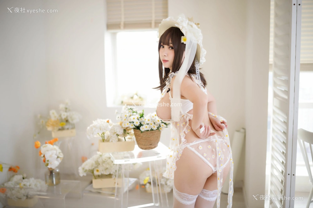 1P - 胡桃猫Kurumineko – 追光雏菊