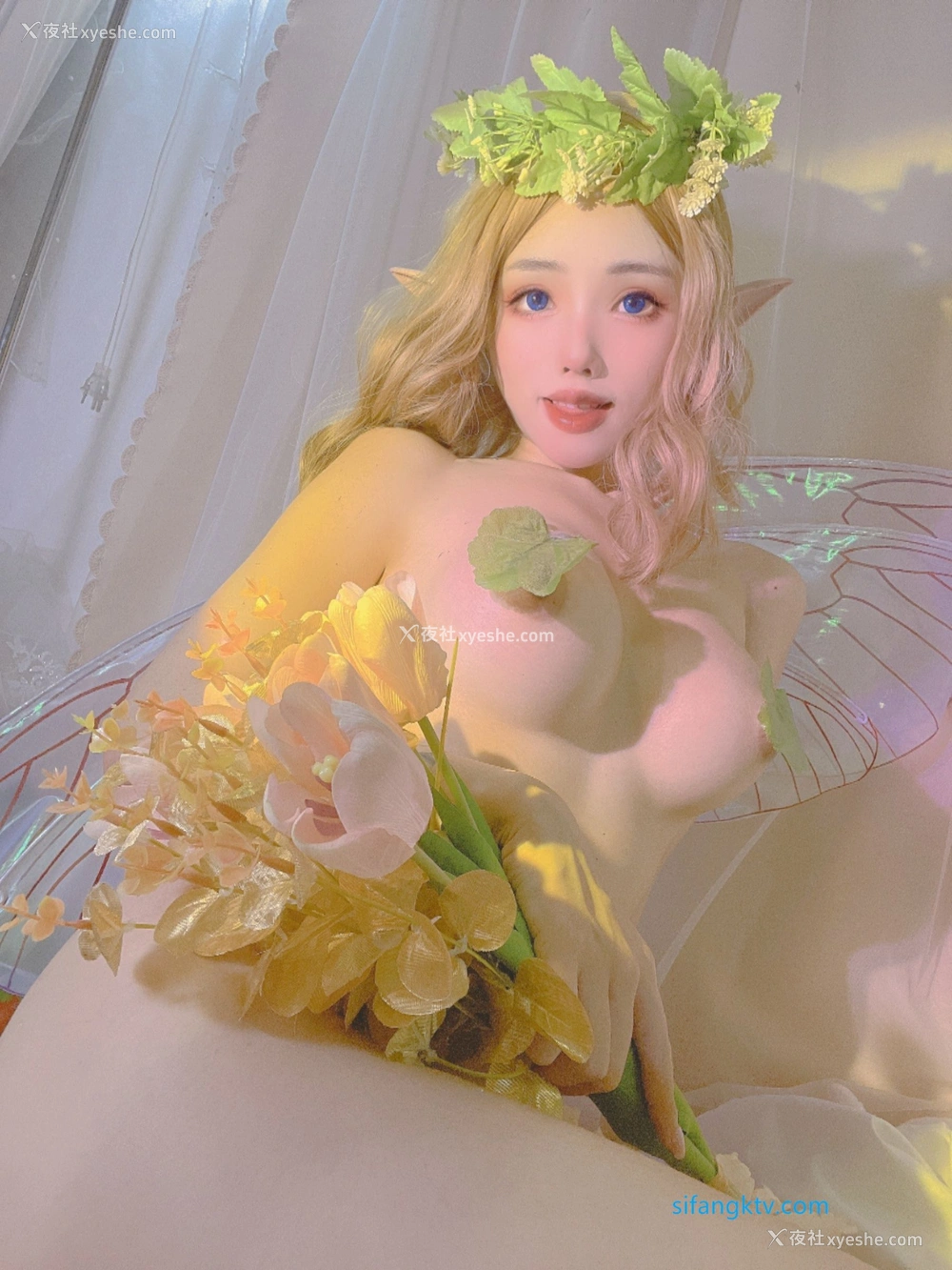 1P - 钛合金TiTi《精灵女神》
