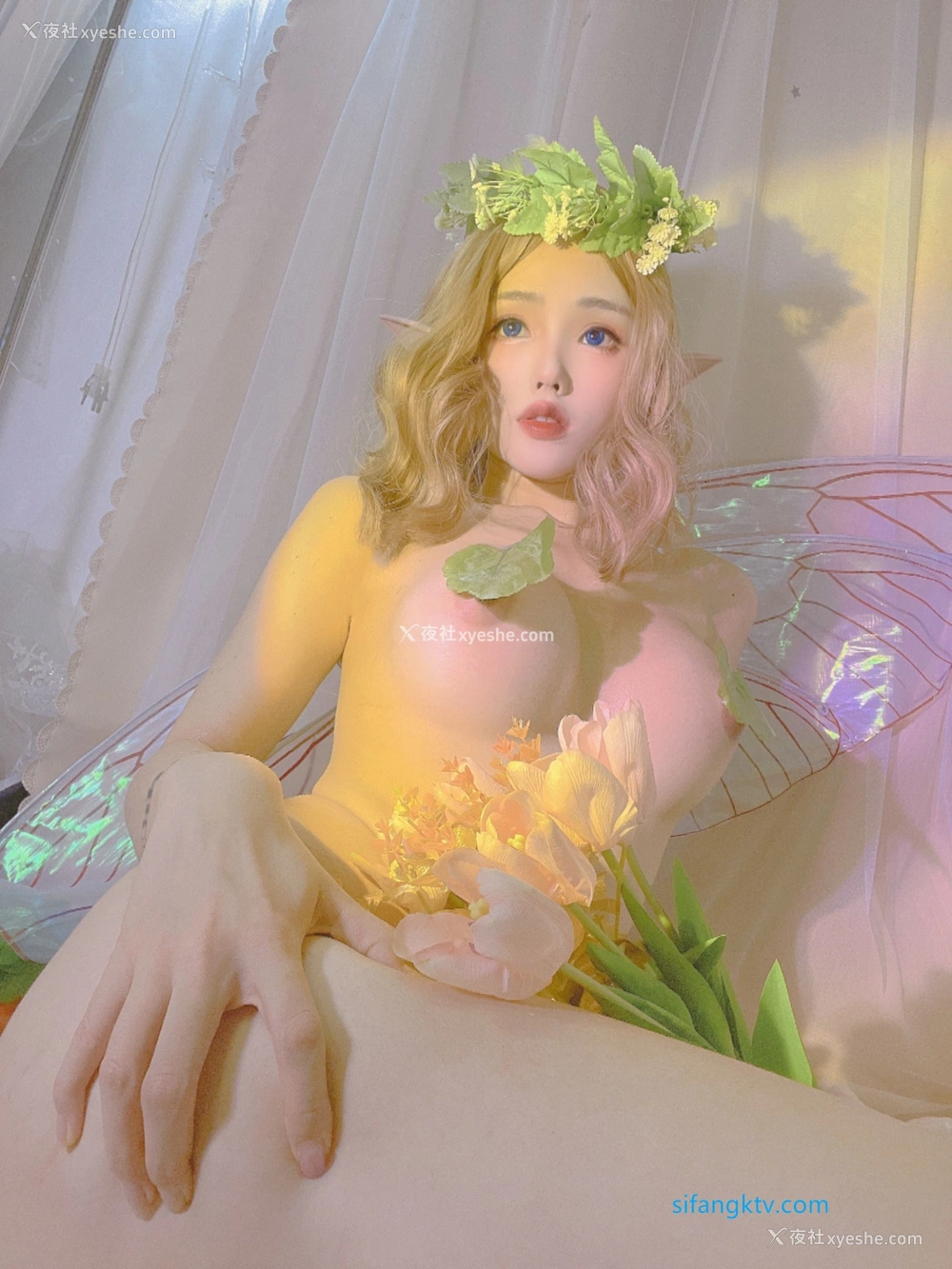 1P - 钛合金TiTi《精灵女神》