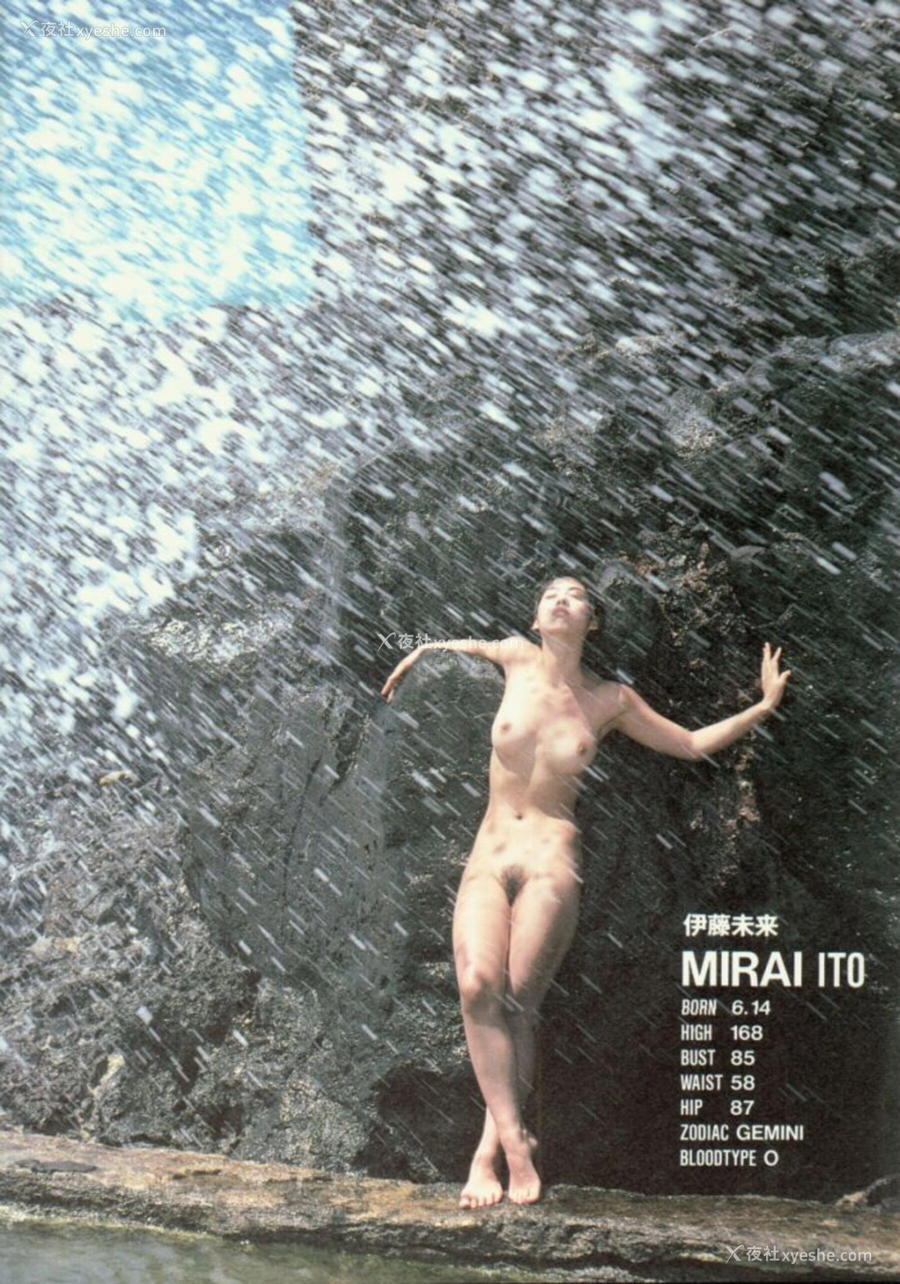 1P - GEKISHA in HAWAII
