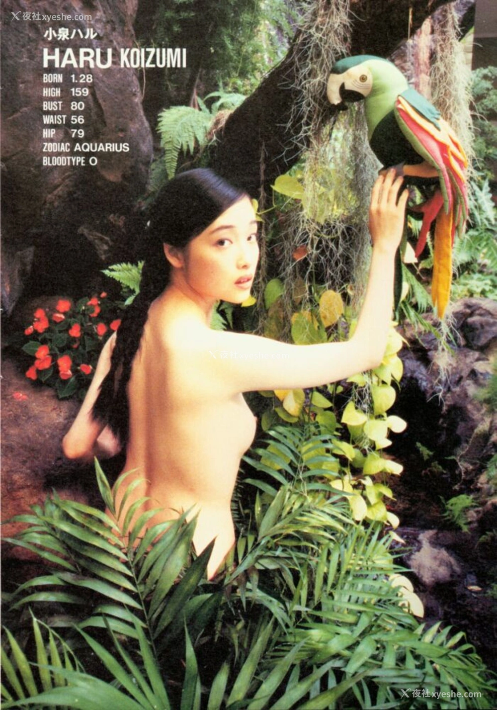 1P - GEKISHA in HAWAII