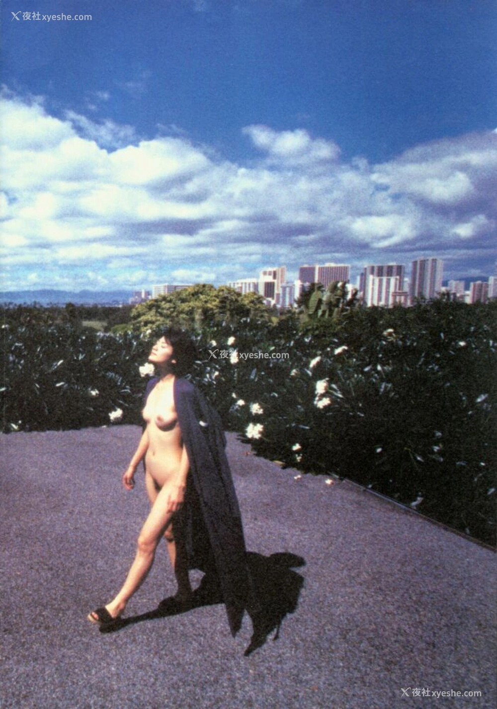 1P - GEKISHA in HAWAII