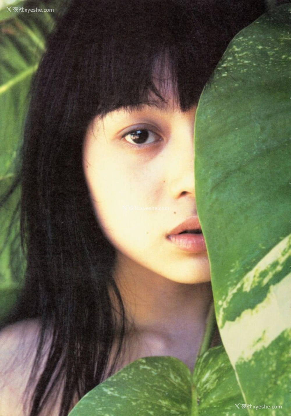 1P - GEKISHA in HAWAII