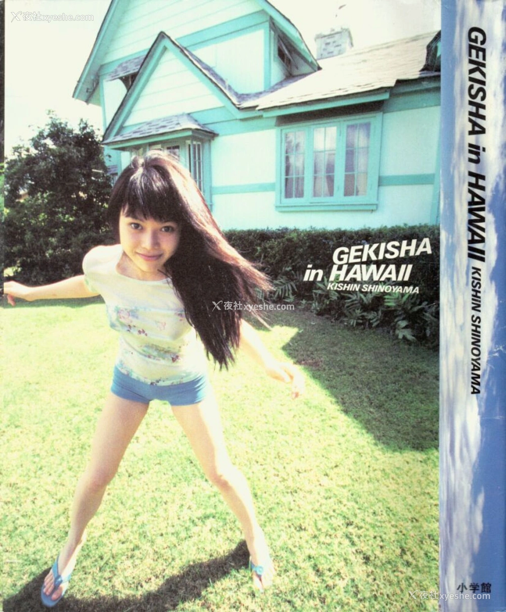 1P - GEKISHA in HAWAII