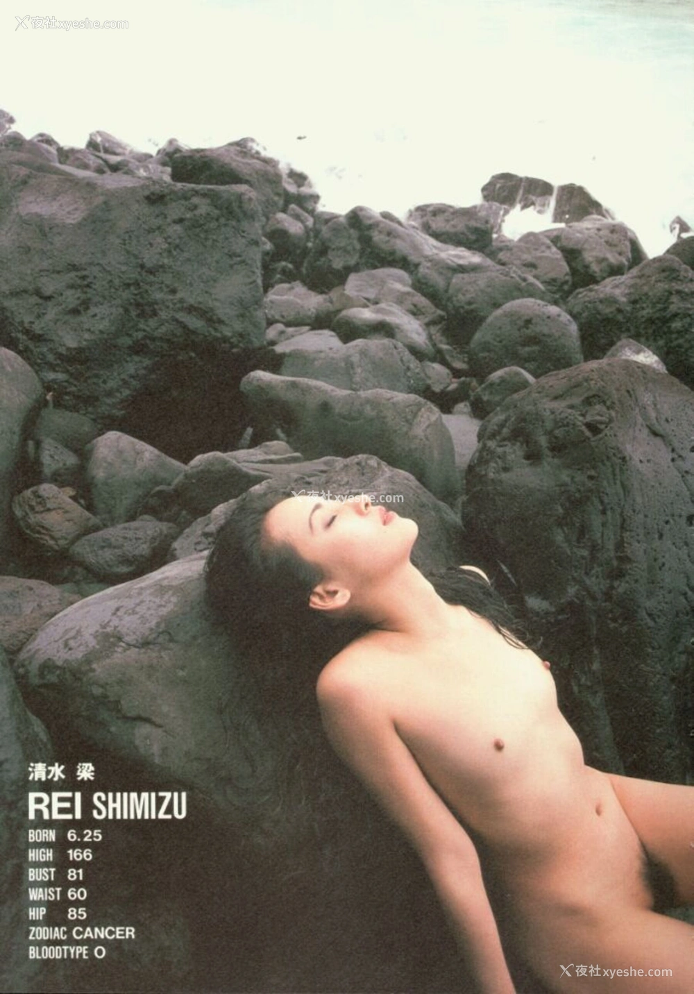 1P - GEKISHA in HAWAII