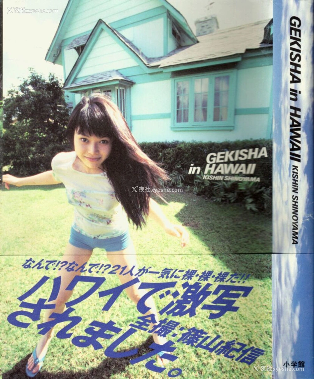 1P - GEKISHA in HAWAII