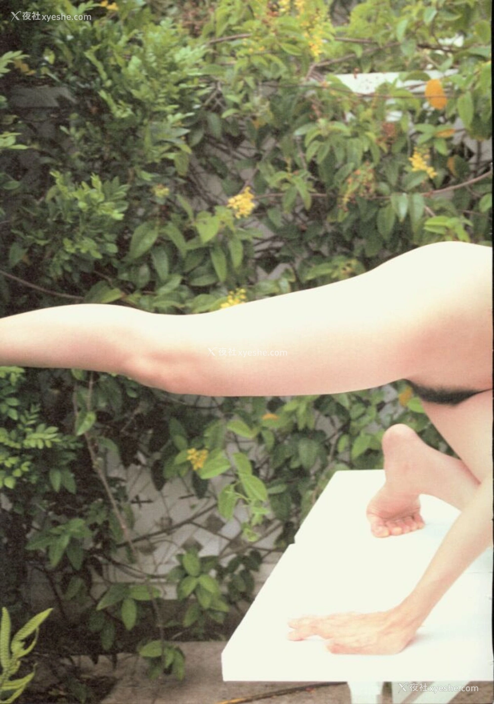 1P - GEKISHA in HAWAII