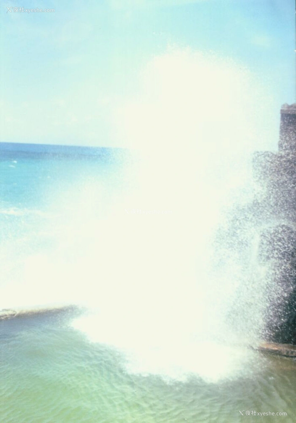 1P - GEKISHA in HAWAII