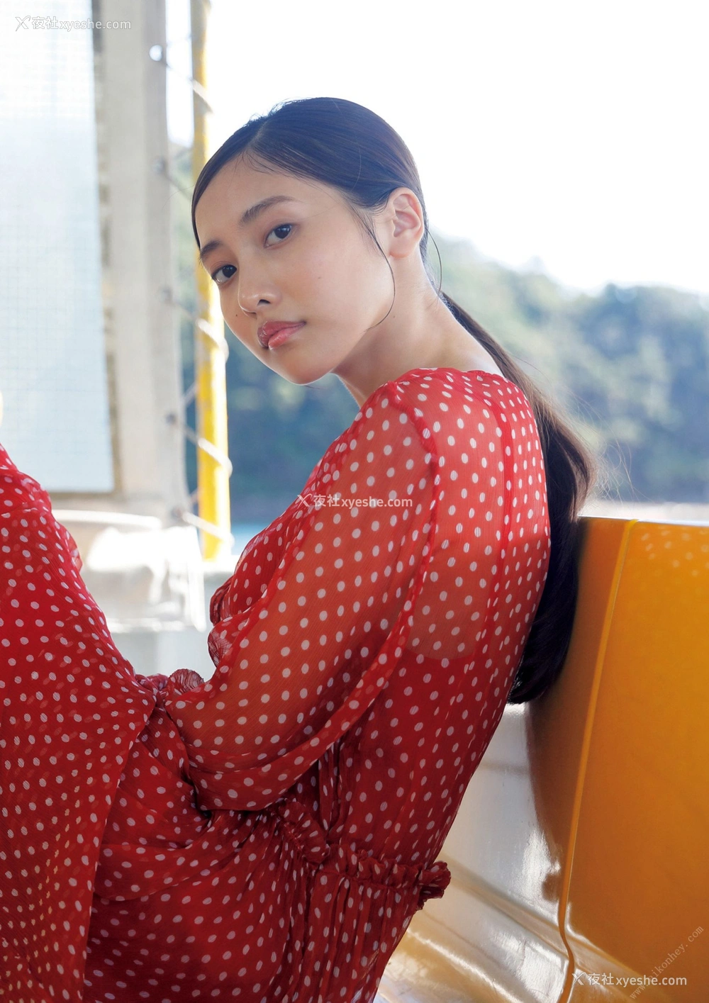 1P - 佐野日向子《COLORS》