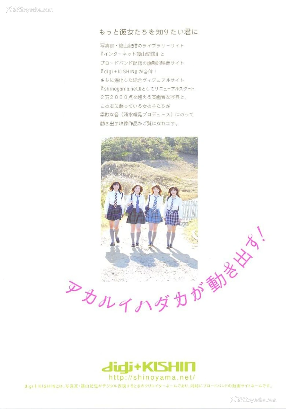 1P - アカルイハダカ