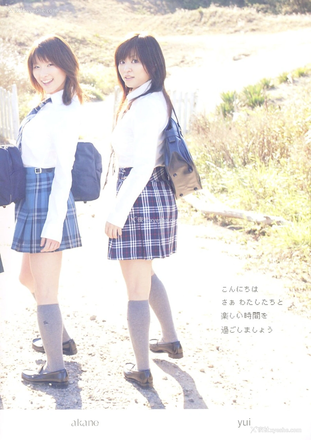 1P - アカルイハダカ
