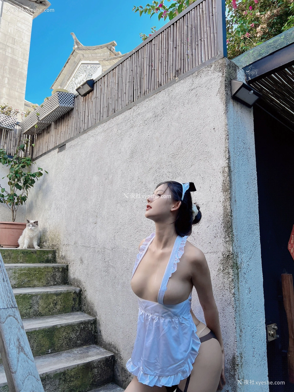 1P - 就是阿朱啊《女仆与猫》