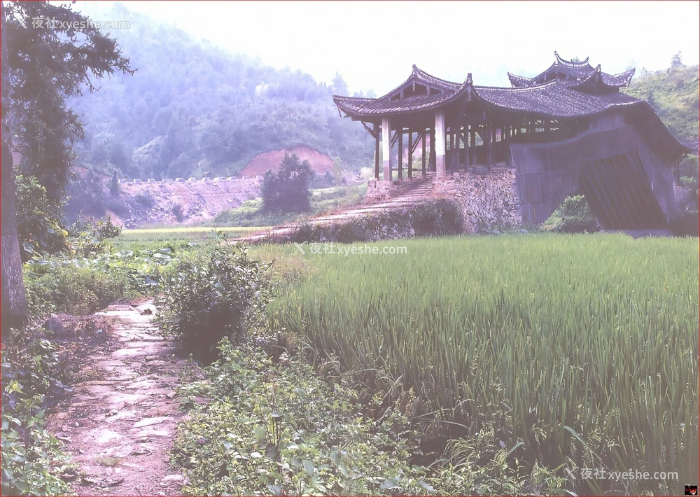 1P - 爱田由《YUA》