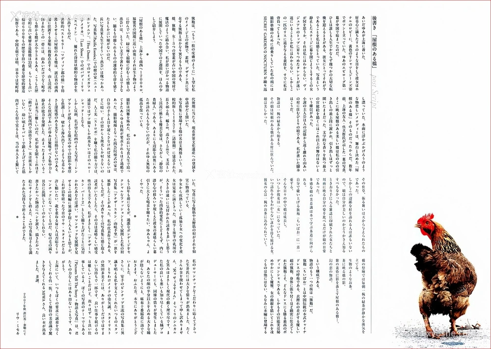 1P - 爱田由《YUA》