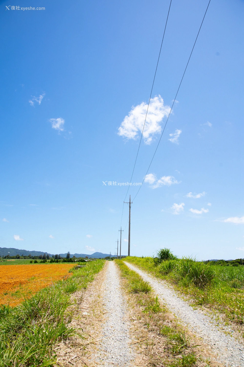 1P - 有贺美奈穗《CRAZY SUMMER》