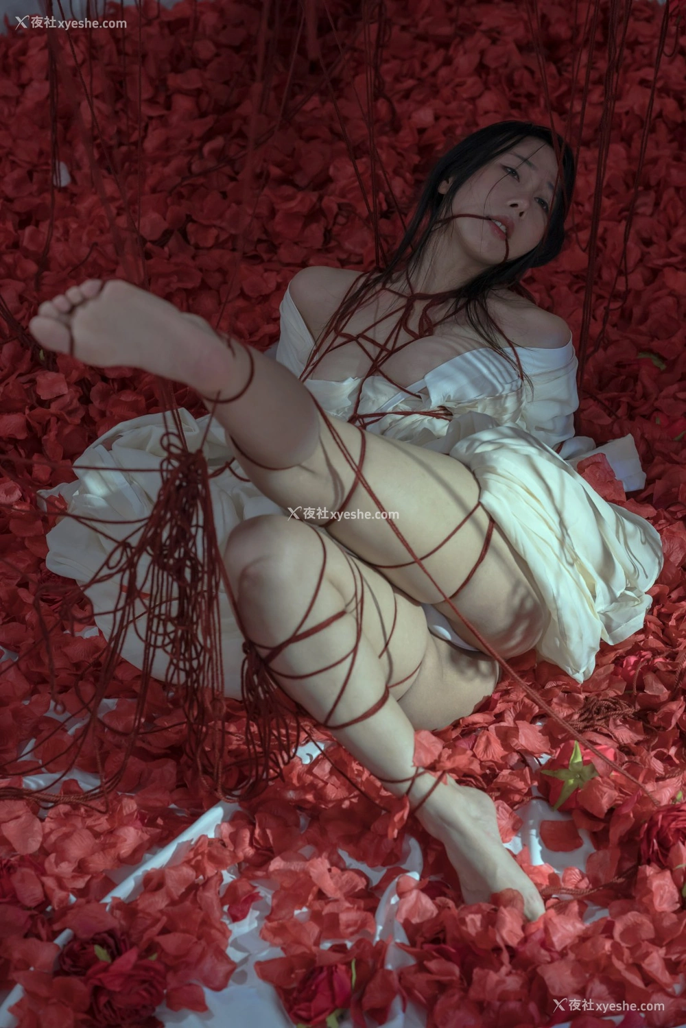 1P - 云溪溪 – 奶桃 囚鸟
