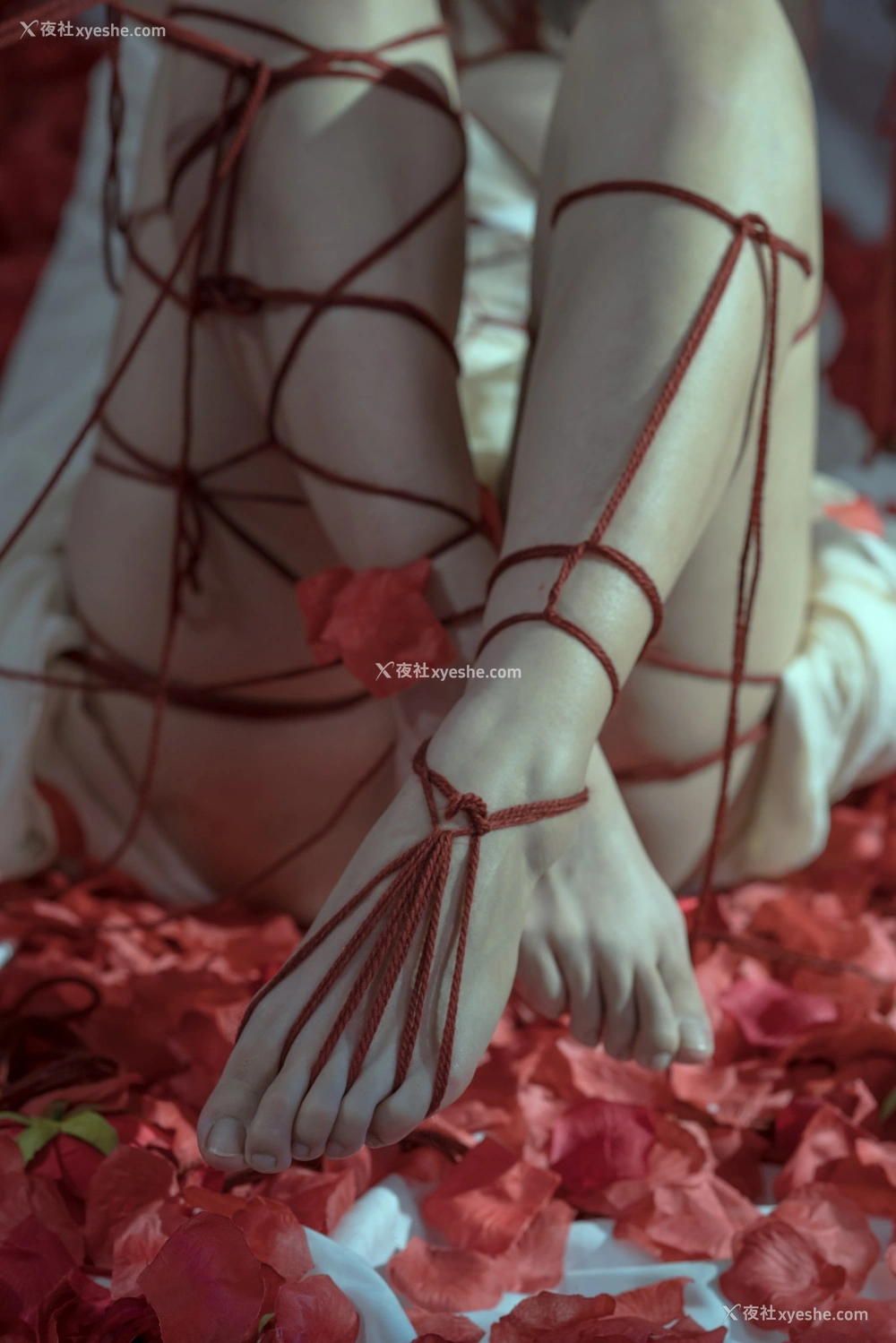1P - 云溪溪 – 奶桃 囚鸟