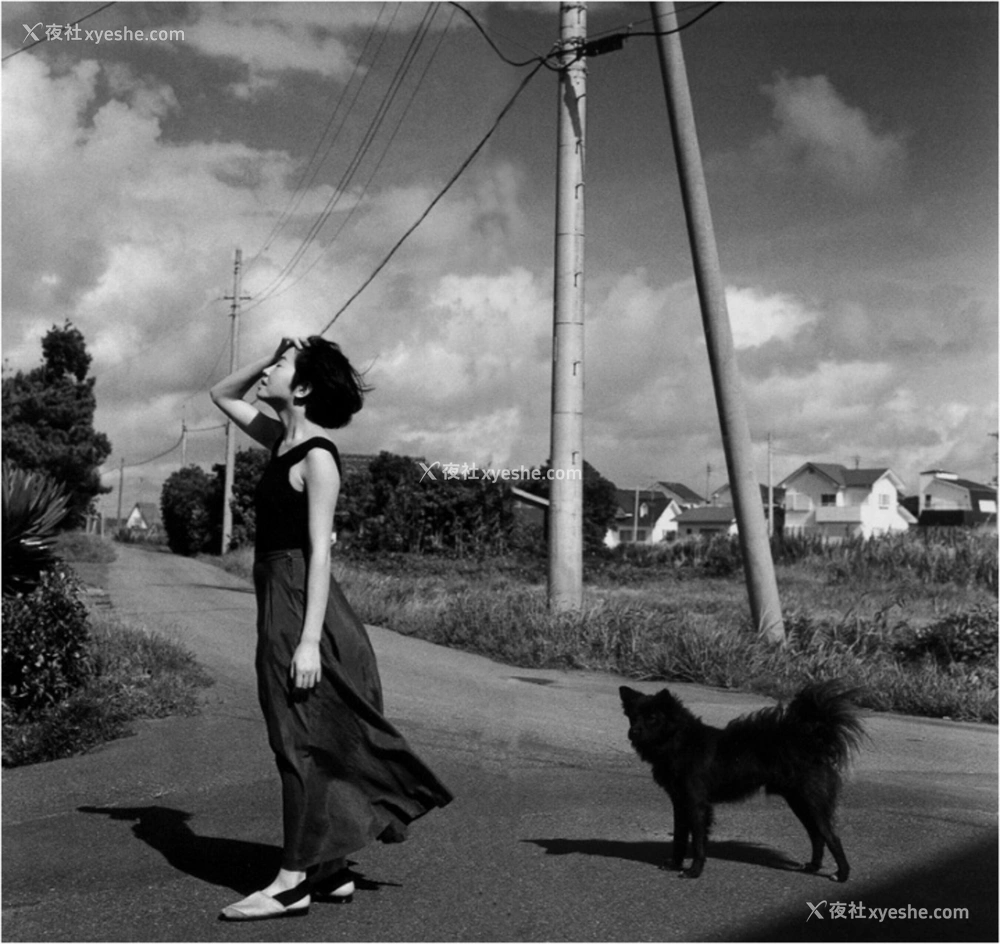1P - 荻野目庆子《Accidents Series 2》