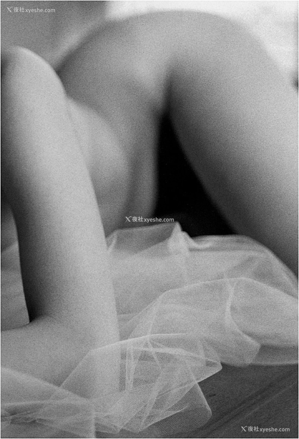 1P - 荻野目庆子《Accidents Series 2》