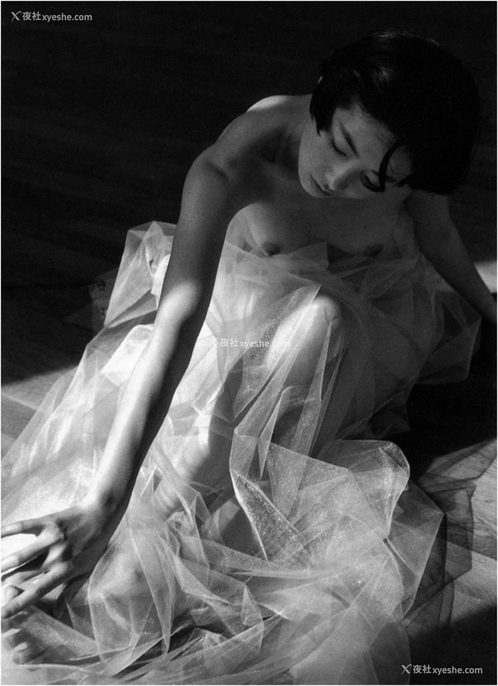 1P - 荻野目庆子《Accidents Series 2》