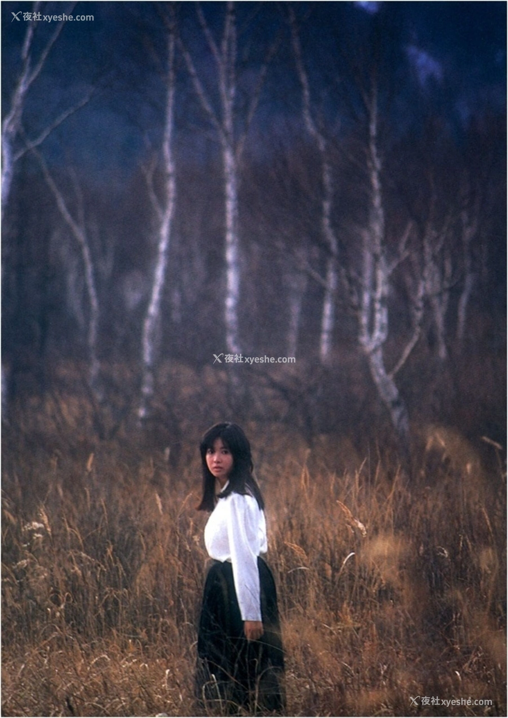 1P - 荻野目庆子《Accidents Series 2》